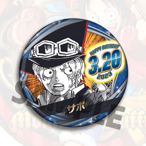 One Piece Anime Badge Pin Broo - Anime Merchandise In Chinese 评论和价格